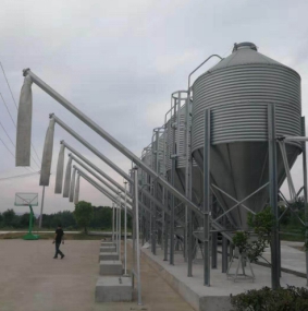 料塔的運(yùn)輸系統(tǒng)！你必須了解的知識(shí)！